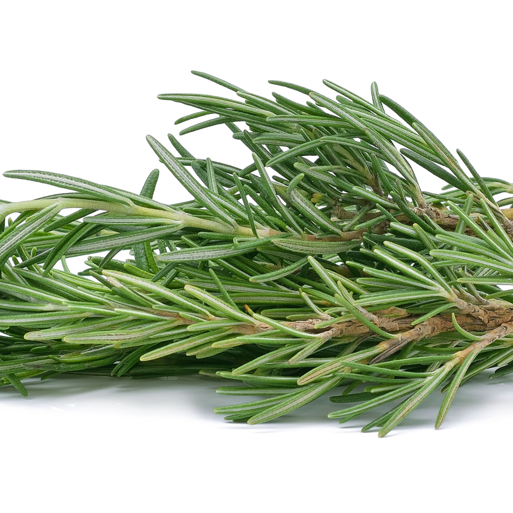 rosemary